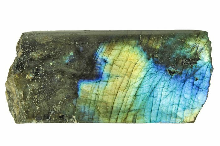 Single Side Polished Labradorite Slab - Madagascar #278198